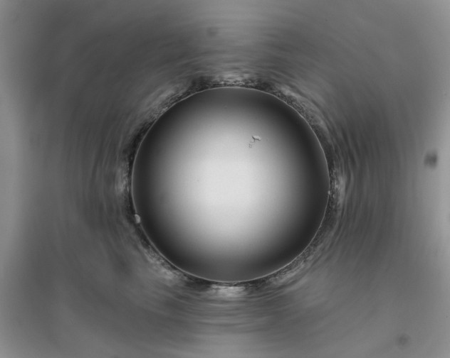 X0000096170665200802011320