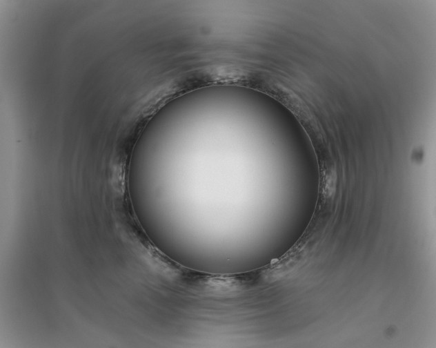 X0000096170666200802011320