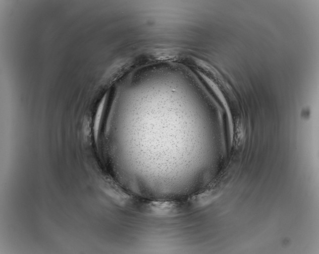 X0000096170667200802011320