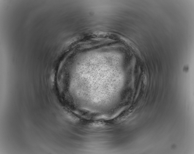 X0000096170668200802011320