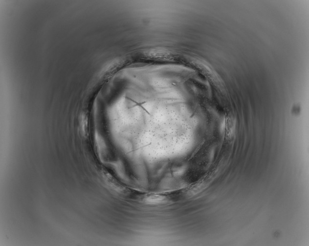 X0000096170669200802011320