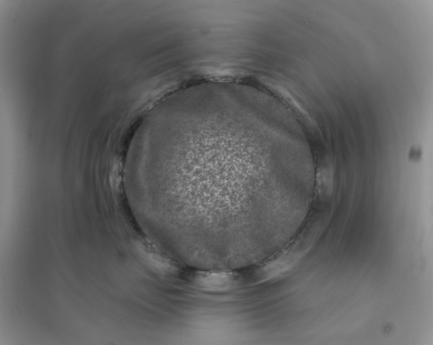 X0000096170671200802011320