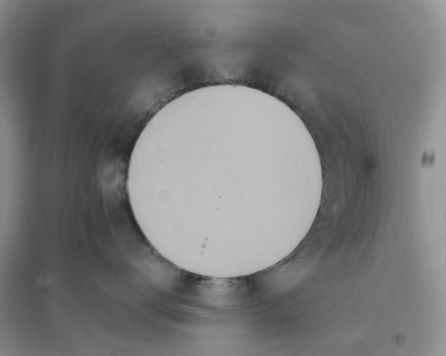 X0000096170672200802011320