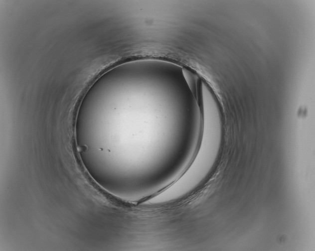 X0000096170673200802011319