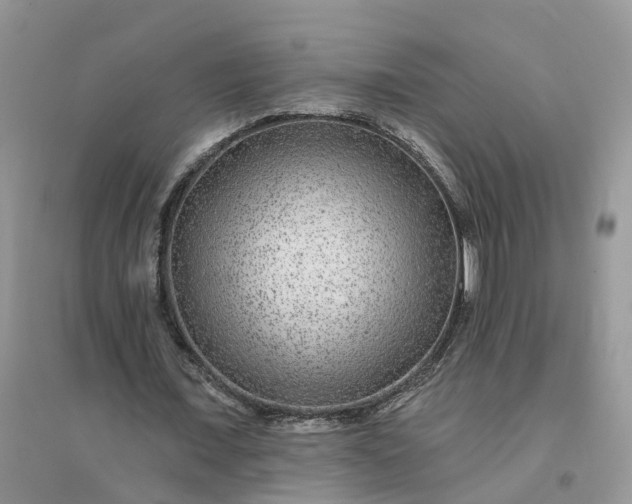 X0000096170675200802011319