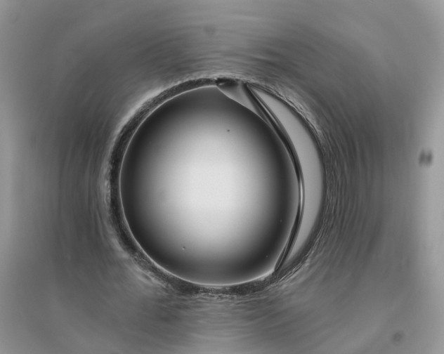 X0000096170676200802011319