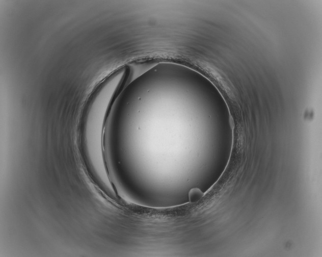 X0000096170677200802011319