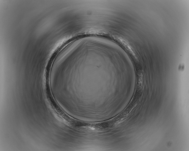 X0000096170678200802011319