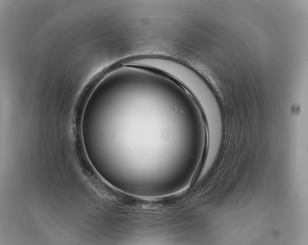 X0000096170680200802011319