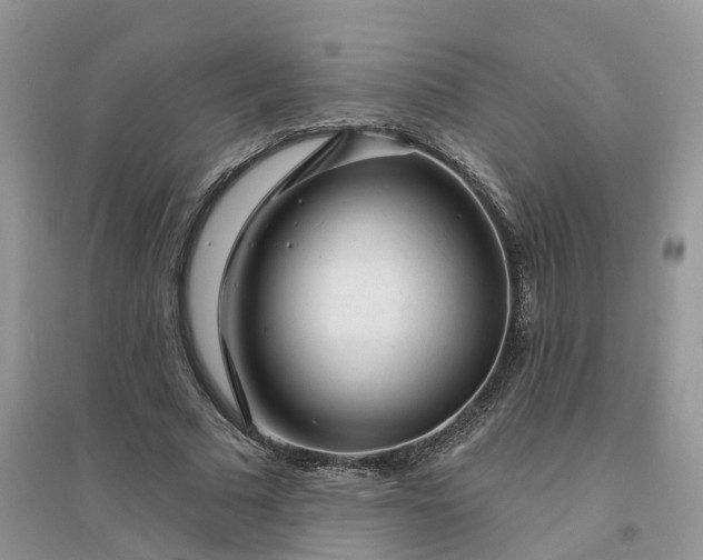 X0000096170681200802011319