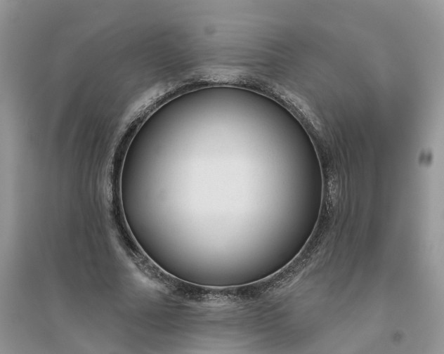 X0000096170682200802011319