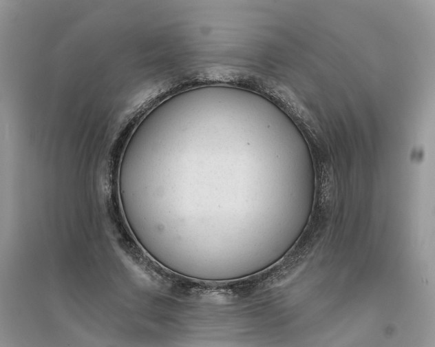 X0000096170683200802011319