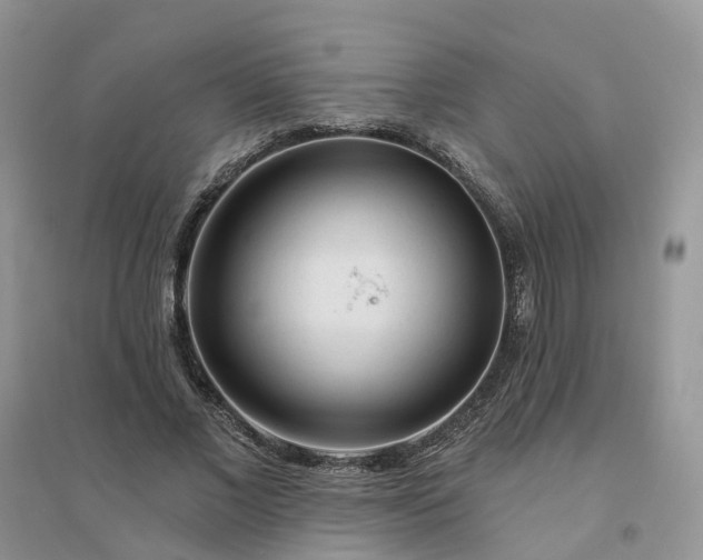 X0000096170685200802011319