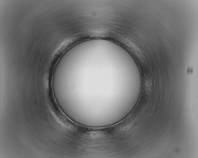 X0000096170686200802011319