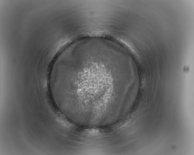 X0000096170687200802011319