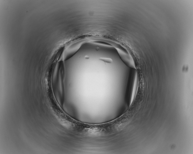 X0000096170688200802011319