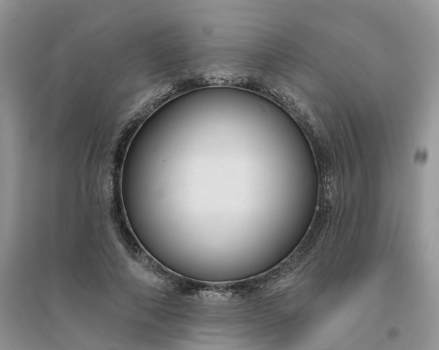 X0000096170690200802011319