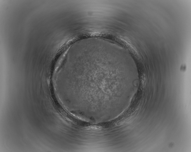 X0000096170691200802011319