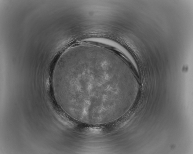 X0000096170692200802011319