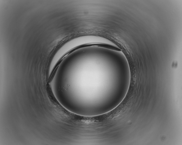 X0000096170693200802011319