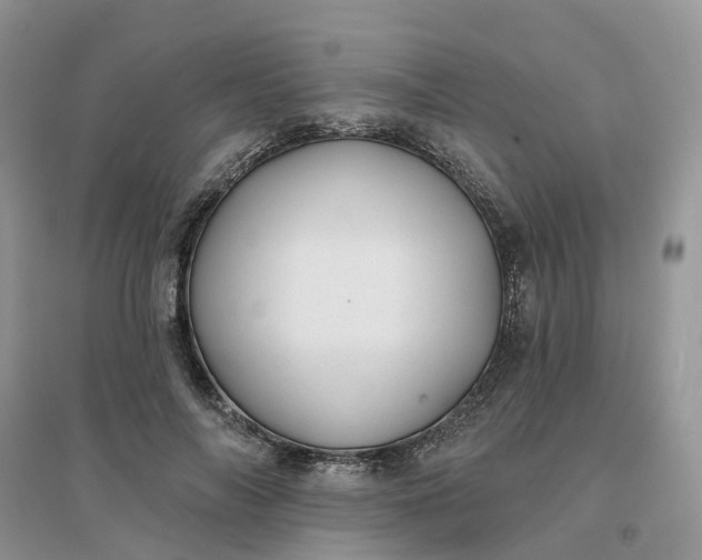 X0000096170694200802011319