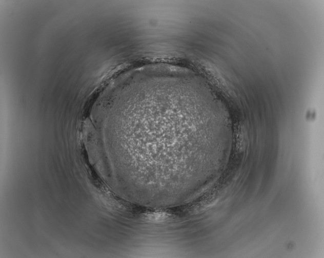 X0000096170695200802011319