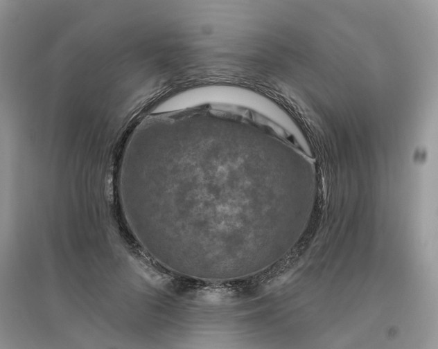 X0000096170696200802011319