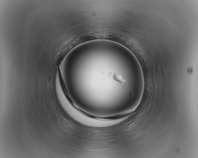 X0000096170697200802011319