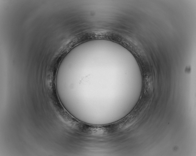 X0000096170698200802011319