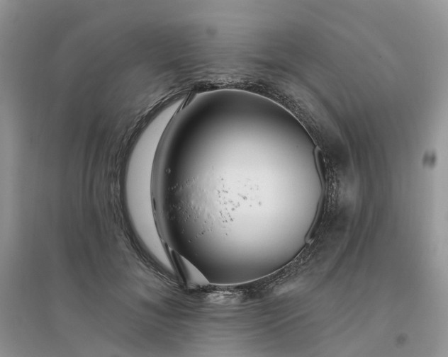 X0000096170700200802011319