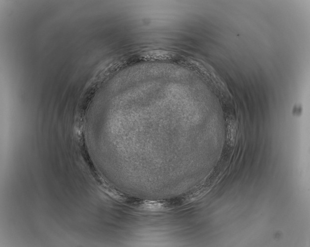 X0000096170701200802011319