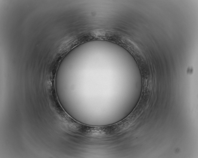 X0000096170702200802011319