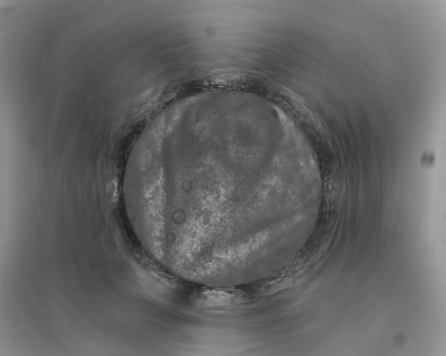 X0000096170703200802011319