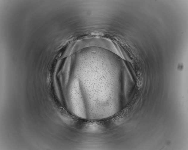 X0000096170704200802011319