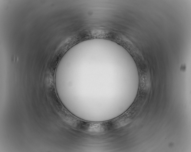 X0000096170705200802011319