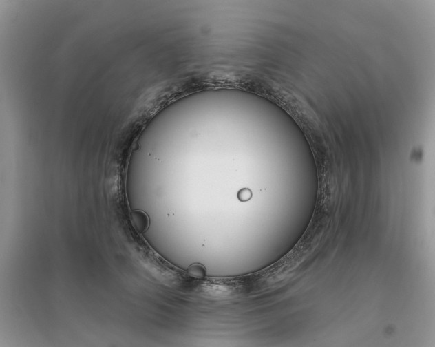 X0000096170706200802011318