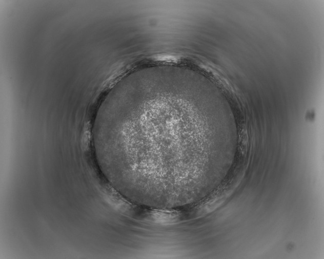 X0000096170707200802011318