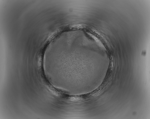 X0000096170708200802011318