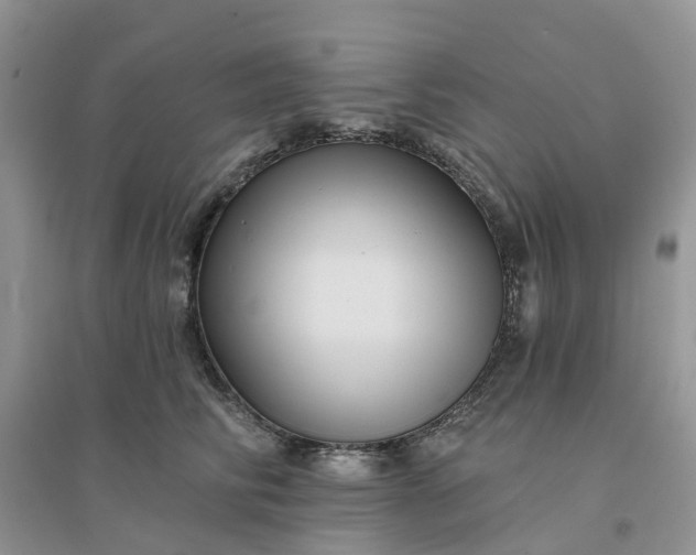 X0000096170710200802011318