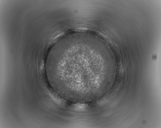 X0000096170711200802011318