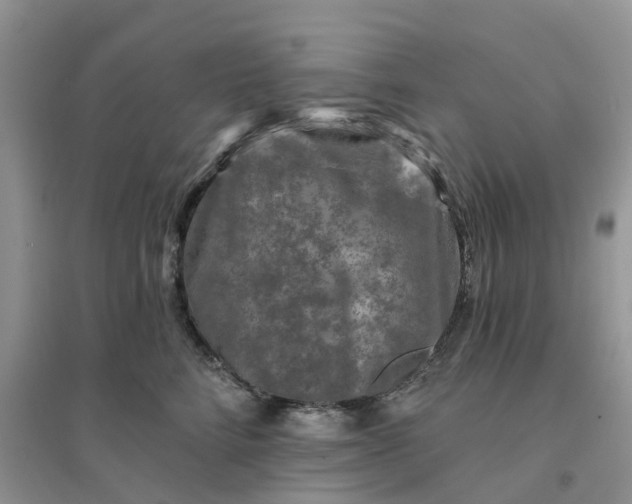 X0000096170712200802011318