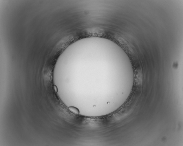 X0000096170713200802011318