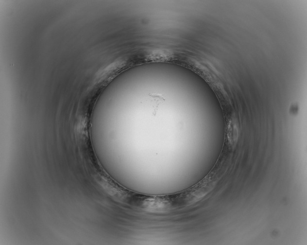 X0000096170714200802011318