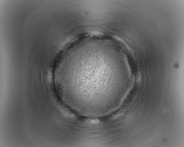 X0000096170715200802011318