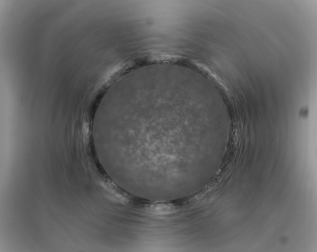 X0000096170716200802011318