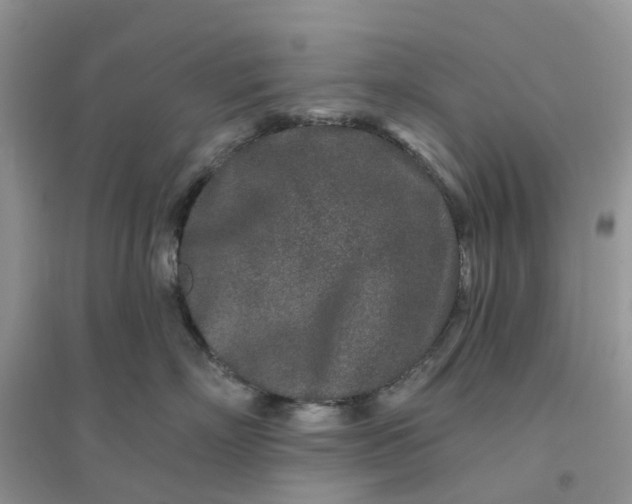 X0000096170718200802011318