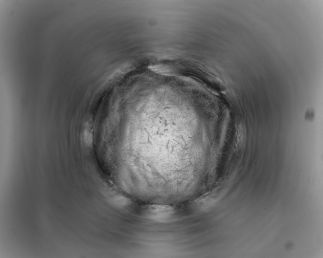 X0000096170719200802011318