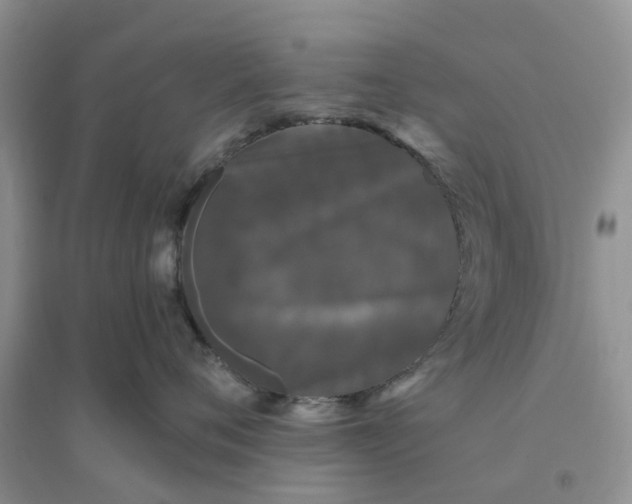 X0000096170720200802011318