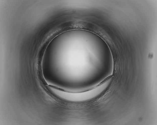 X0000096170722200802011317