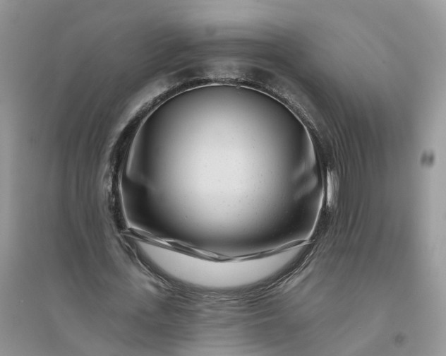 X0000096170723200802011318